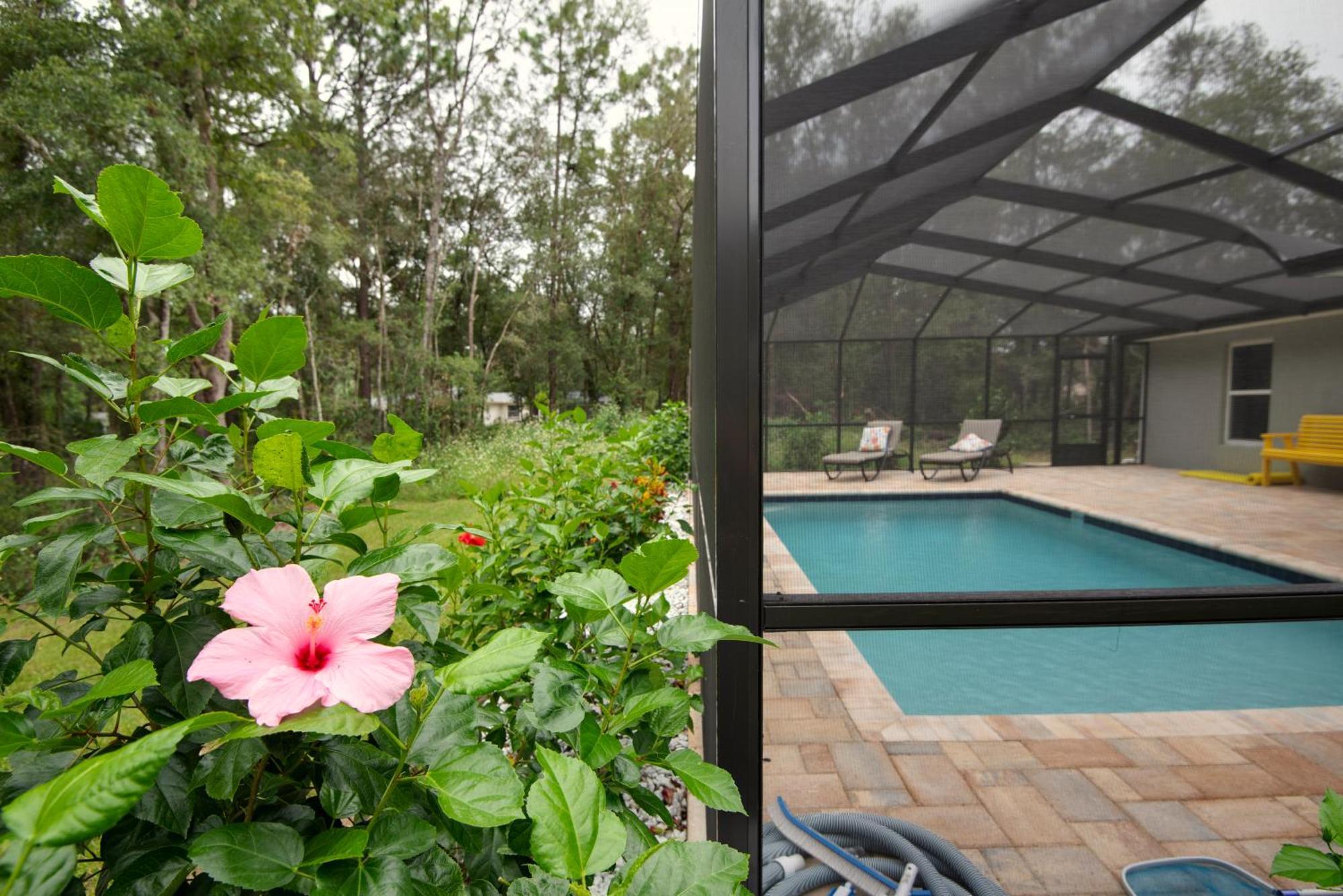 Pet-Friendly, Heated Pool, Close To Everything 3 Bedroom Home Dunnellon Eksteriør billede